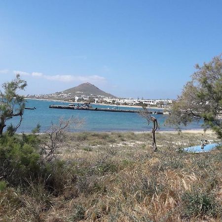 Chez Irene Sweet Pension Naxos City Εξωτερικό φωτογραφία