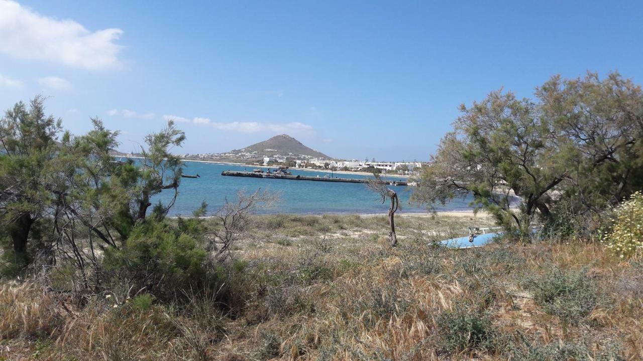 Chez Irene Sweet Pension Naxos City Εξωτερικό φωτογραφία