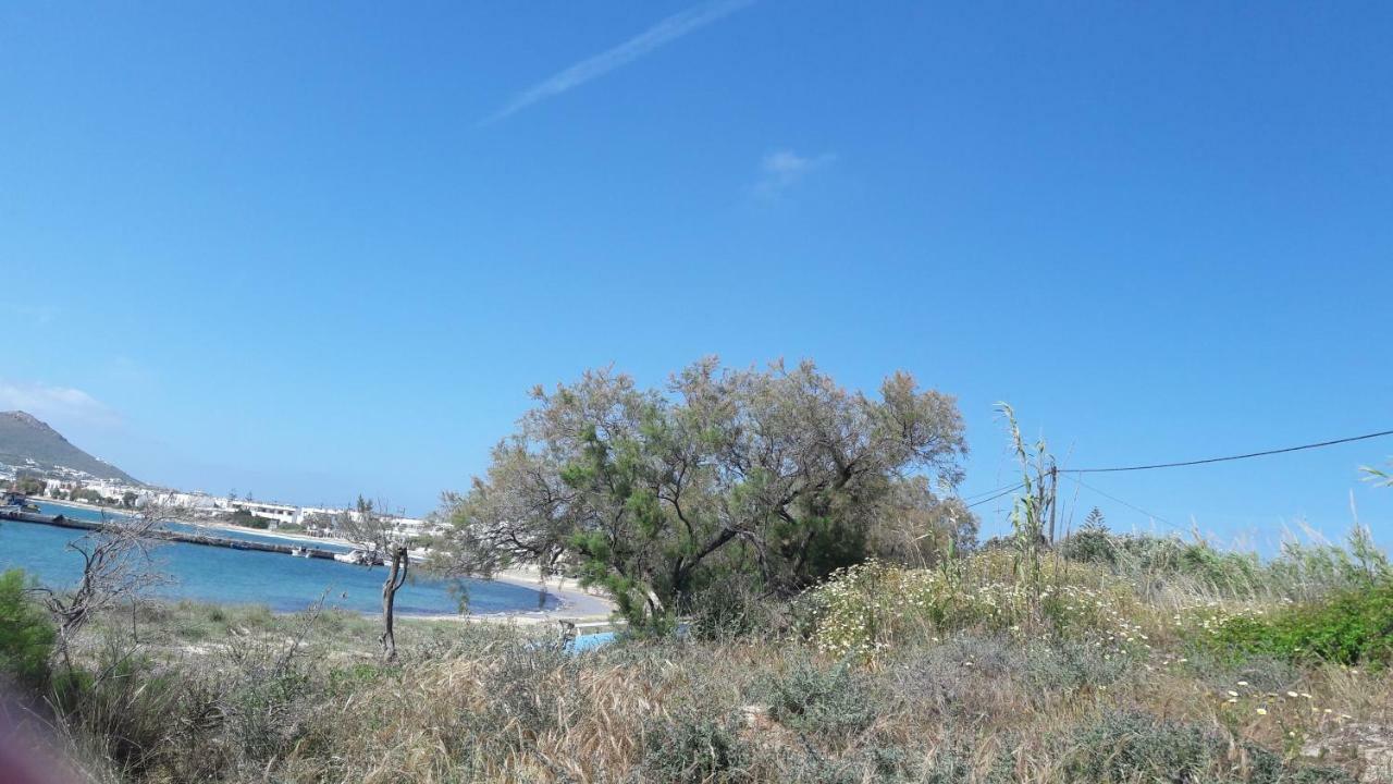 Chez Irene Sweet Pension Naxos City Εξωτερικό φωτογραφία